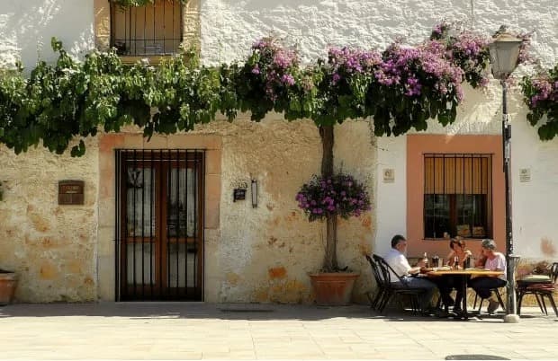 San Miguel de Salinas: Rural Charm with Modern Living