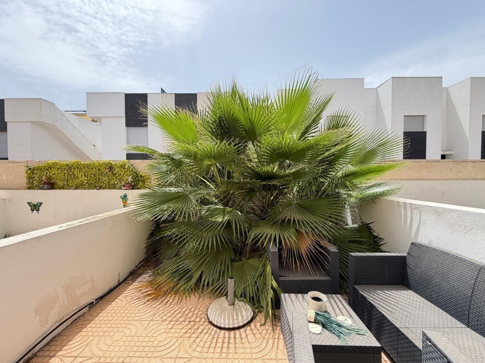 2-Bedroom House in Rojales - 25