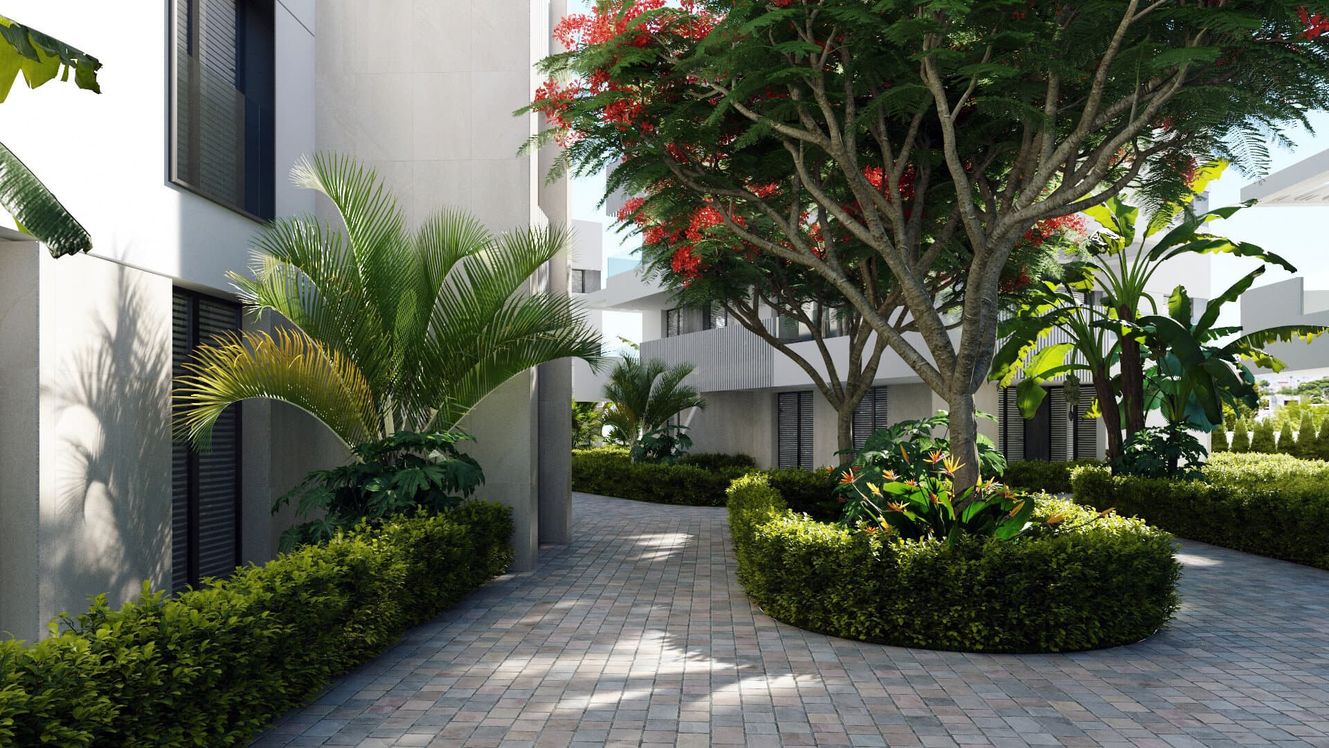 3-Bedroom Ground Floor Apartment in Santa Rosalía - 3