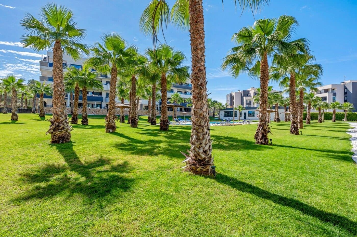 2-Zimmer Wohnung in Pau 26, Orihuela Costa - 30