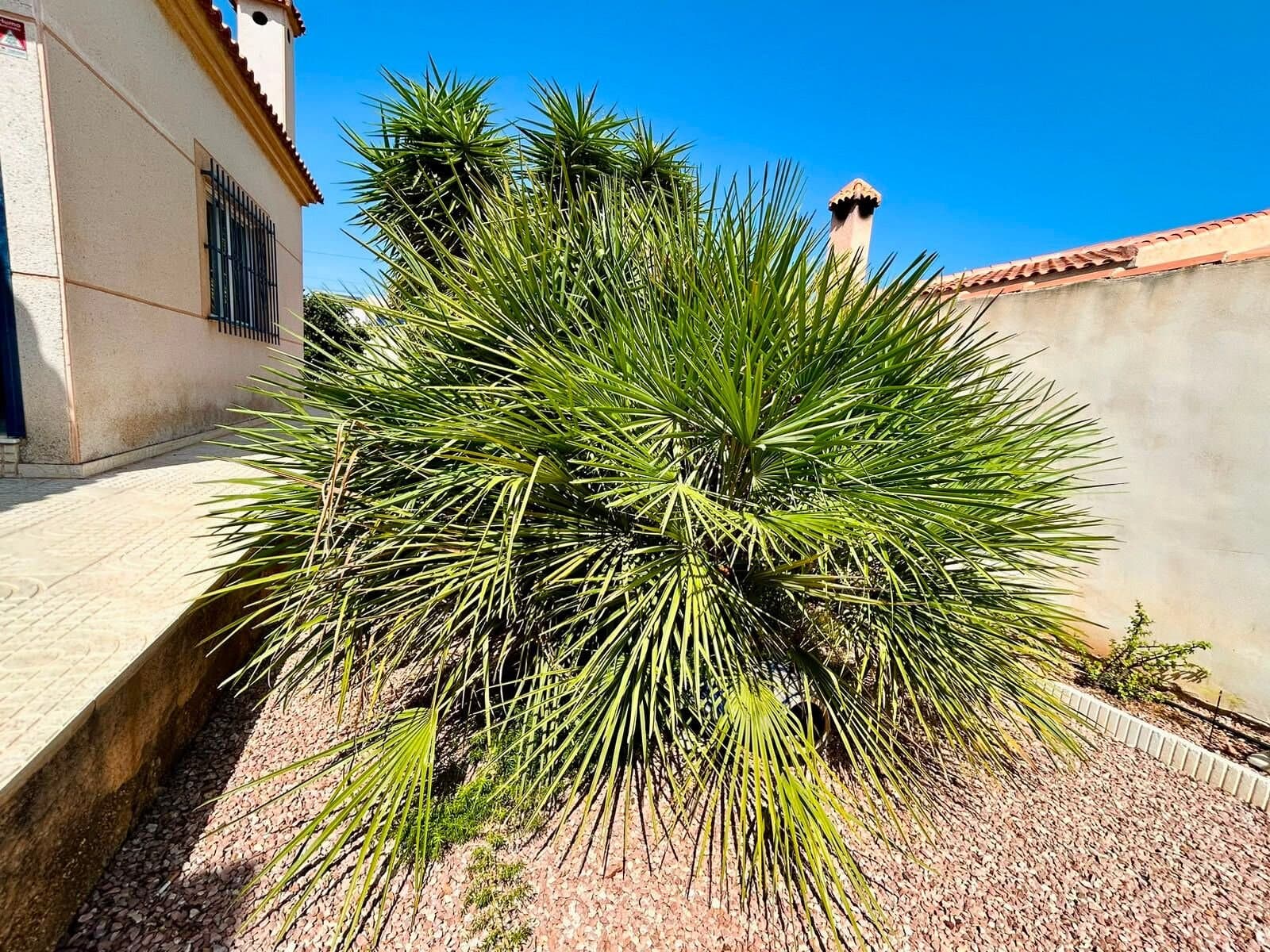 4-Bedroom Villa in San Luis, Torrevieja - 24