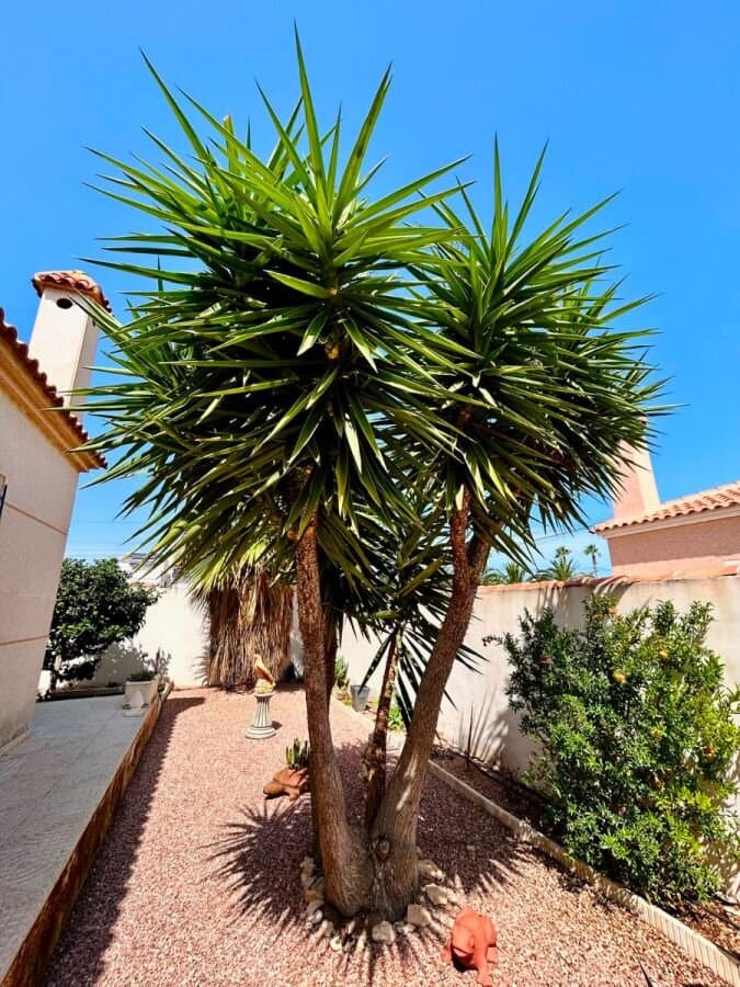 4-Bedroom Villa in San Luis, Torrevieja - 26