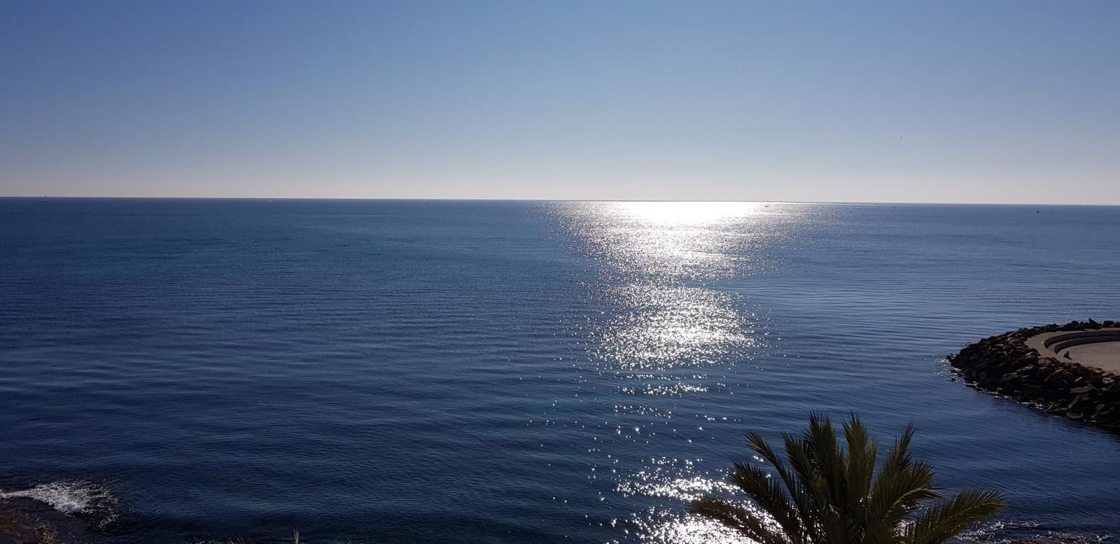 4-Bedroom Apartment in Torrevieja - Image 5