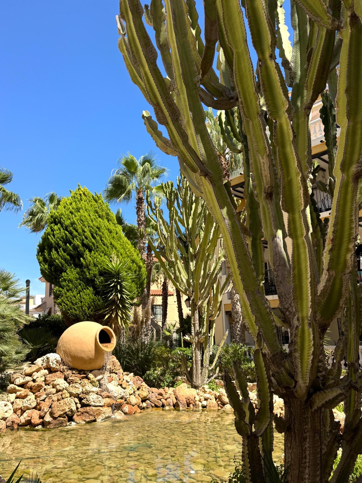 3-Bedroom Penthouse in Los Frutales, Torrevieja - Image 37