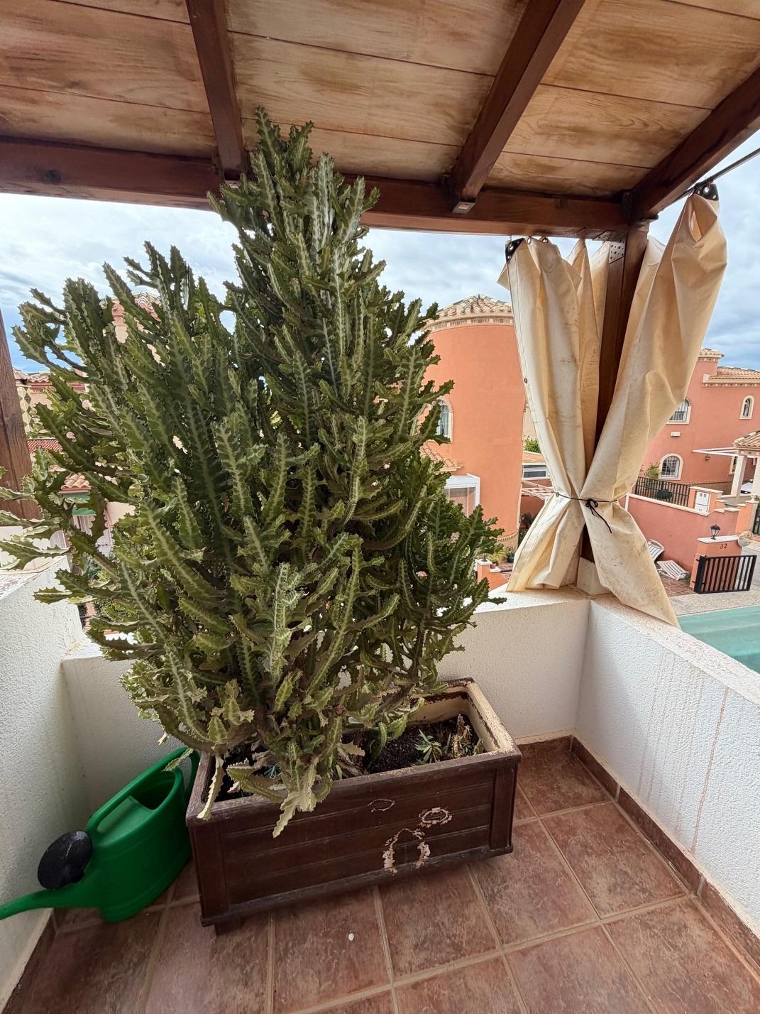 3-Bedroom Villa in Playa Flamenca, Orihuela Costa - Image 22