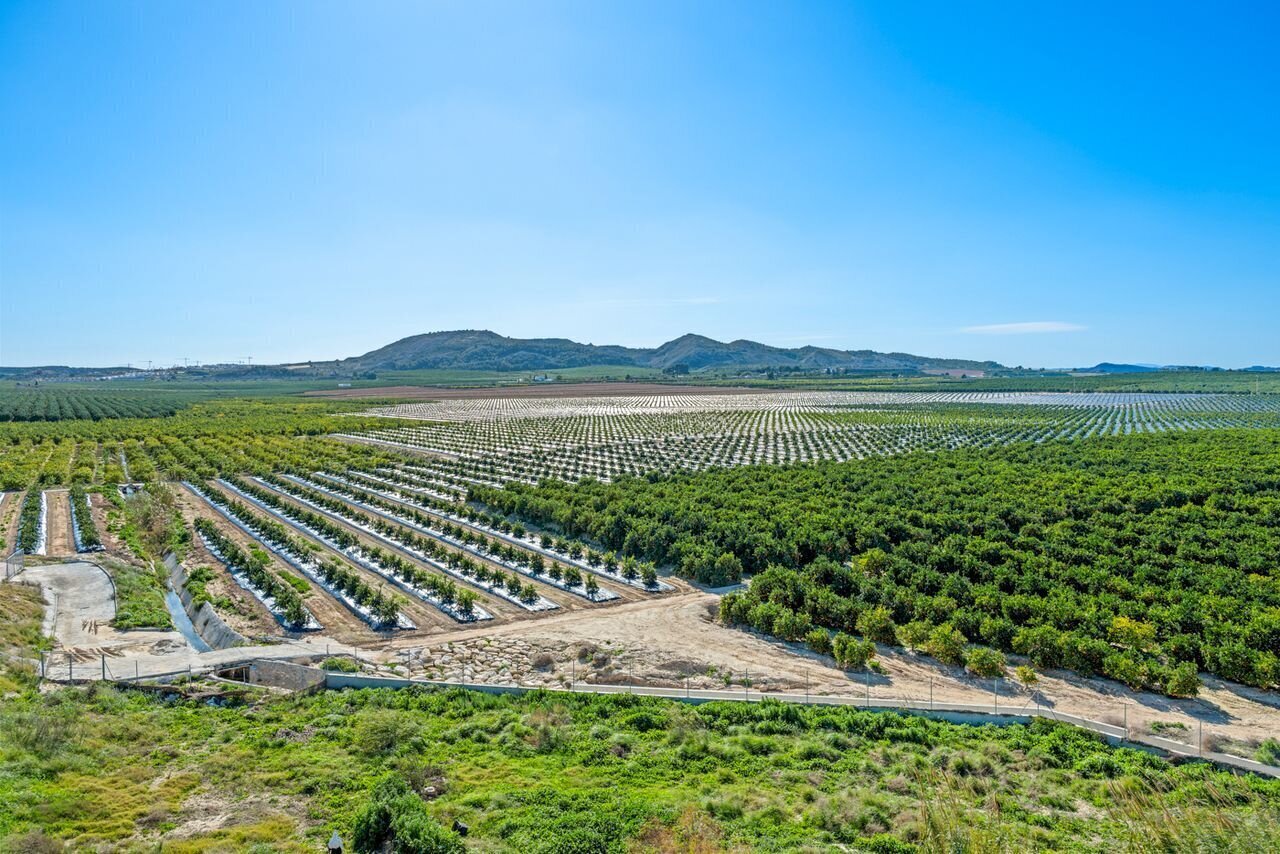 2-Bedroom Apartment in Pueblo 3, Algorfa - Image 25