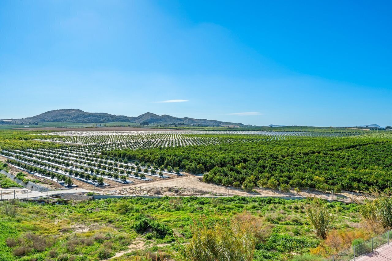 2-Bedroom Apartment in Pueblo 3, Algorfa - Image 3