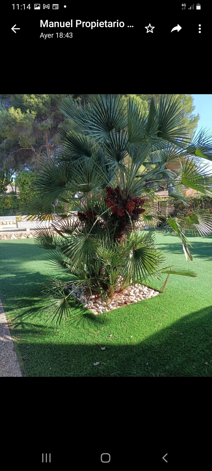 6-Bedroom Villa in Campoamor, Orihuela Costa - Image 39