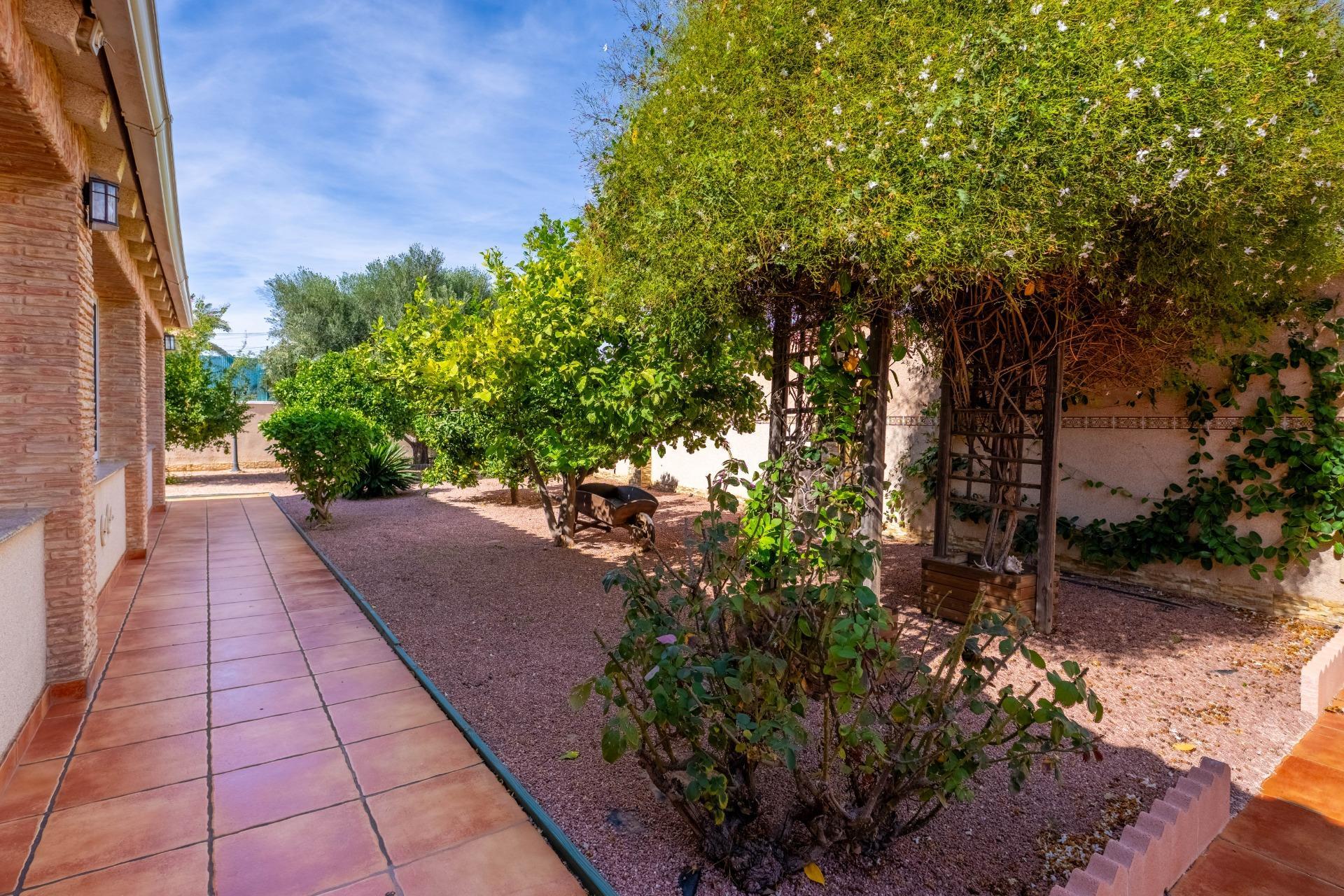 Villa met 6 Slaapkamers in La Siesta - El Salado - Torreta, Torrevieja - Image 14