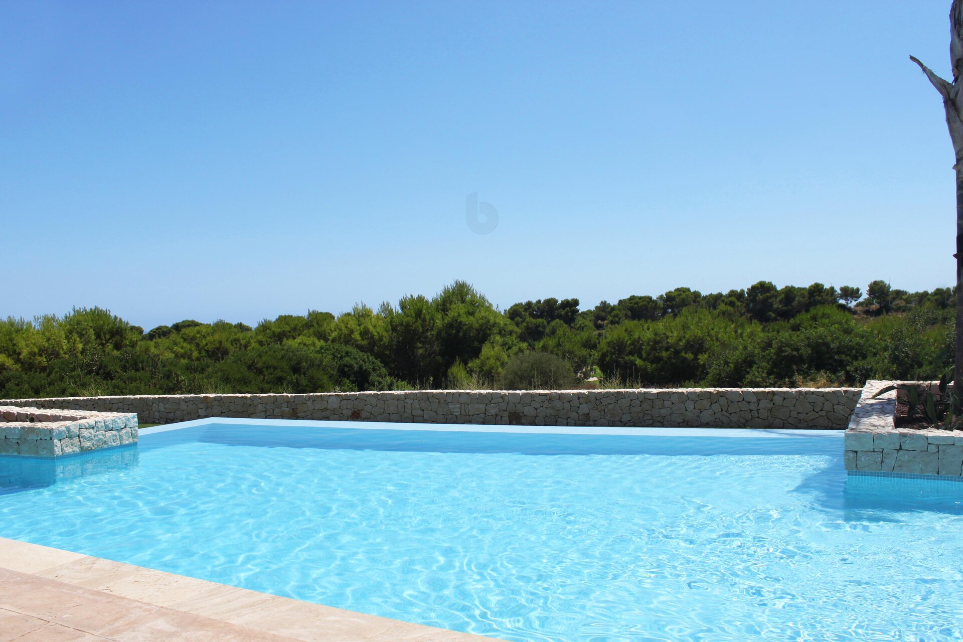 3-Zimmer Erdgeschosswohnung in Pinar de Campoverde - Image 10