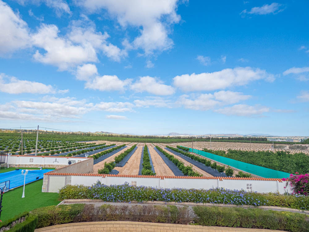 7-Bedroom Villa in San Miguel de Salinas - Image 95