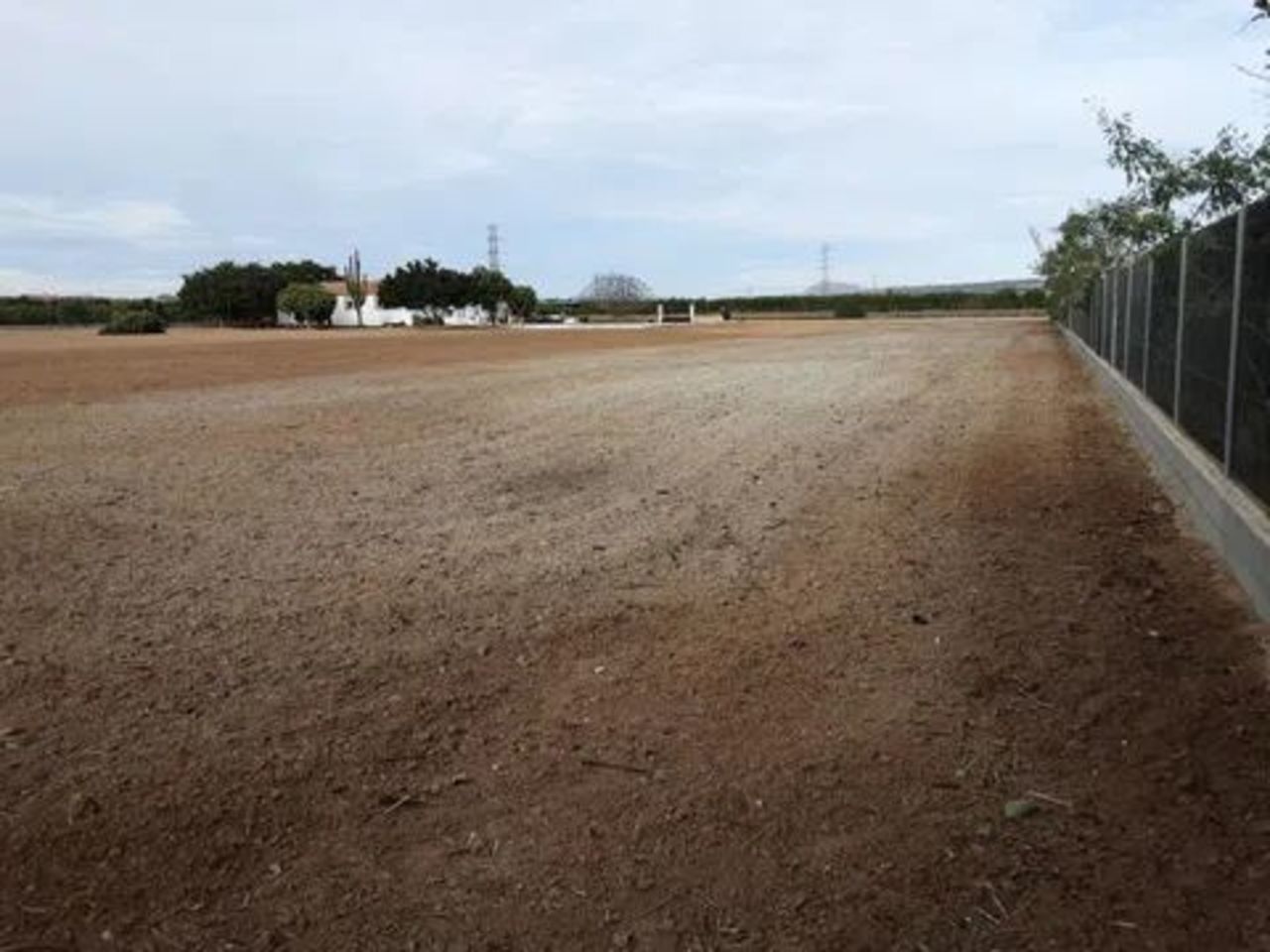 6-Bedroom Villa in Centro, San Miguel de Salinas - Image 15