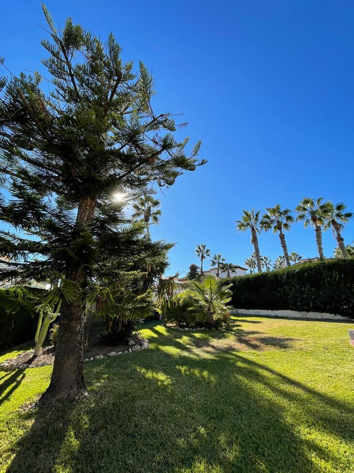 3-Bedroom Villa in Orihuela Costa - Image 33