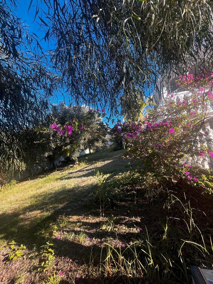 7-Bedroom Villa in La Marquesa, Rojales - Image 48