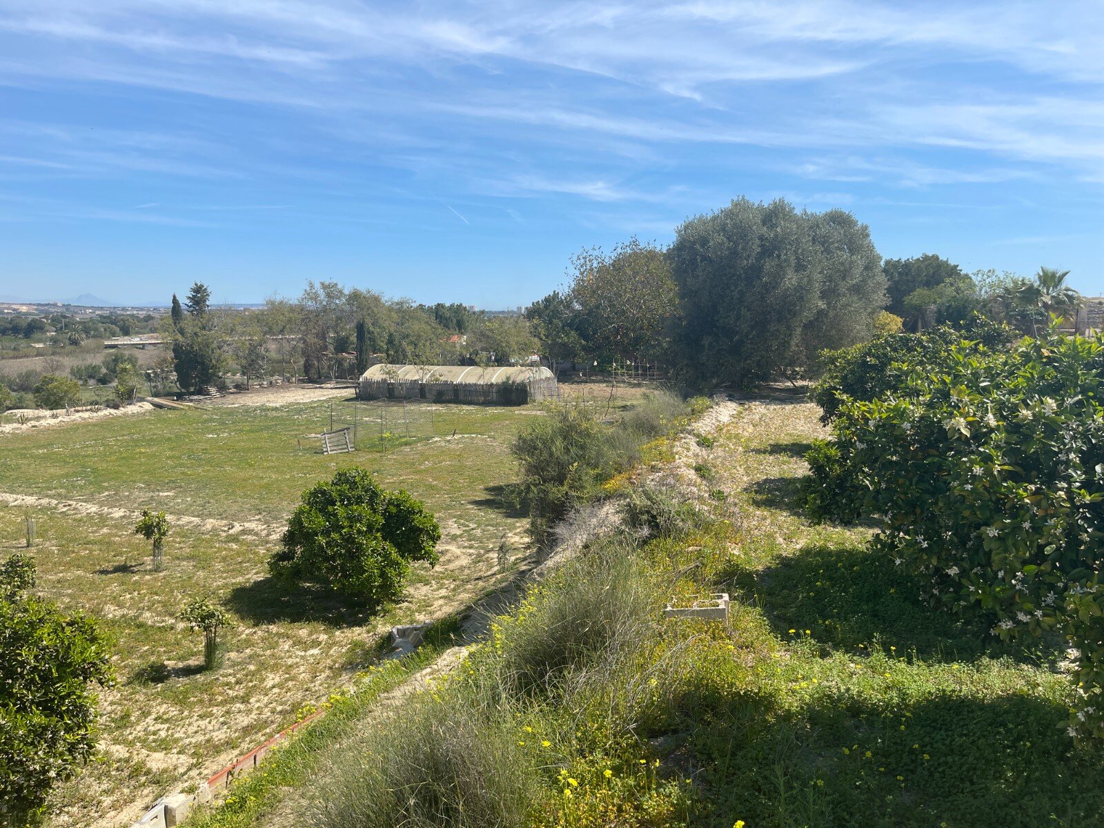 3-Bedroom Villa in Rojales - Image 15