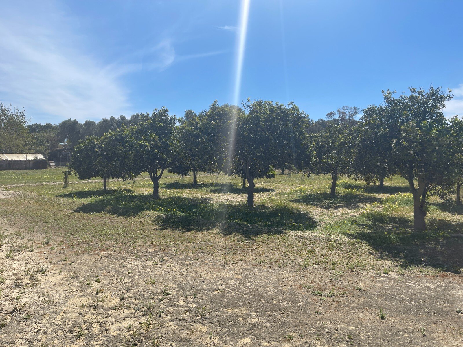 3-Bedroom Villa in Rojales - Image 16