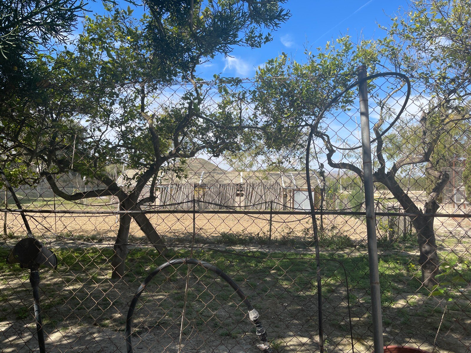 3-Bedroom Villa in Rojales - Image 22