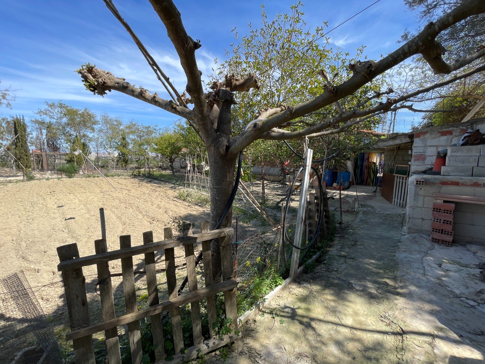 3-Bedroom Villa in Rojales - Image 26