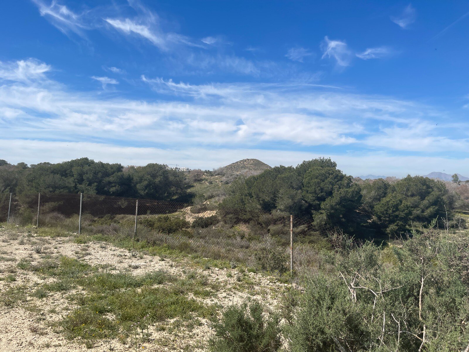 3-Bedroom Villa in Rojales - Image 34