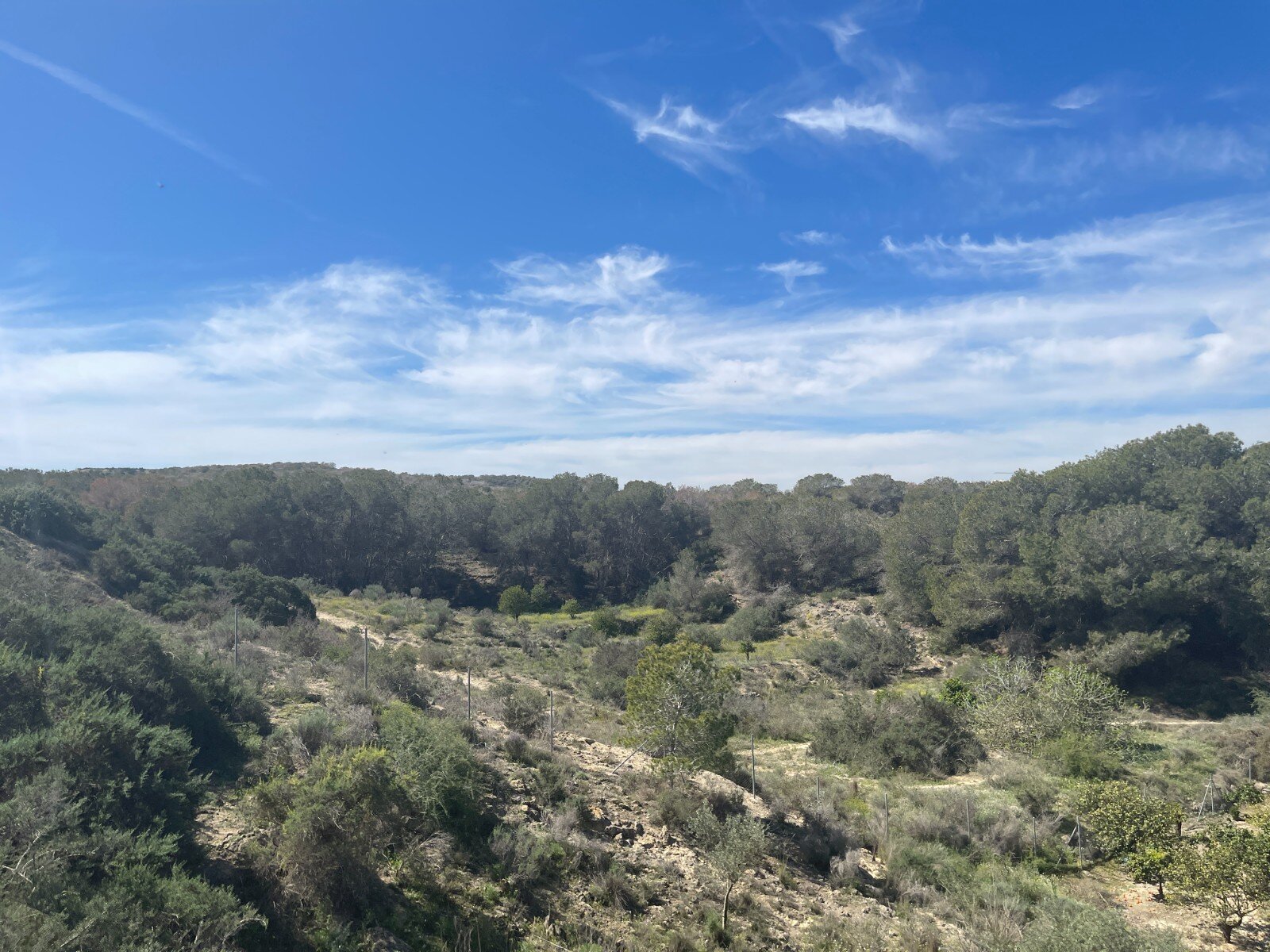 3-Bedroom Villa in Rojales - Image 36