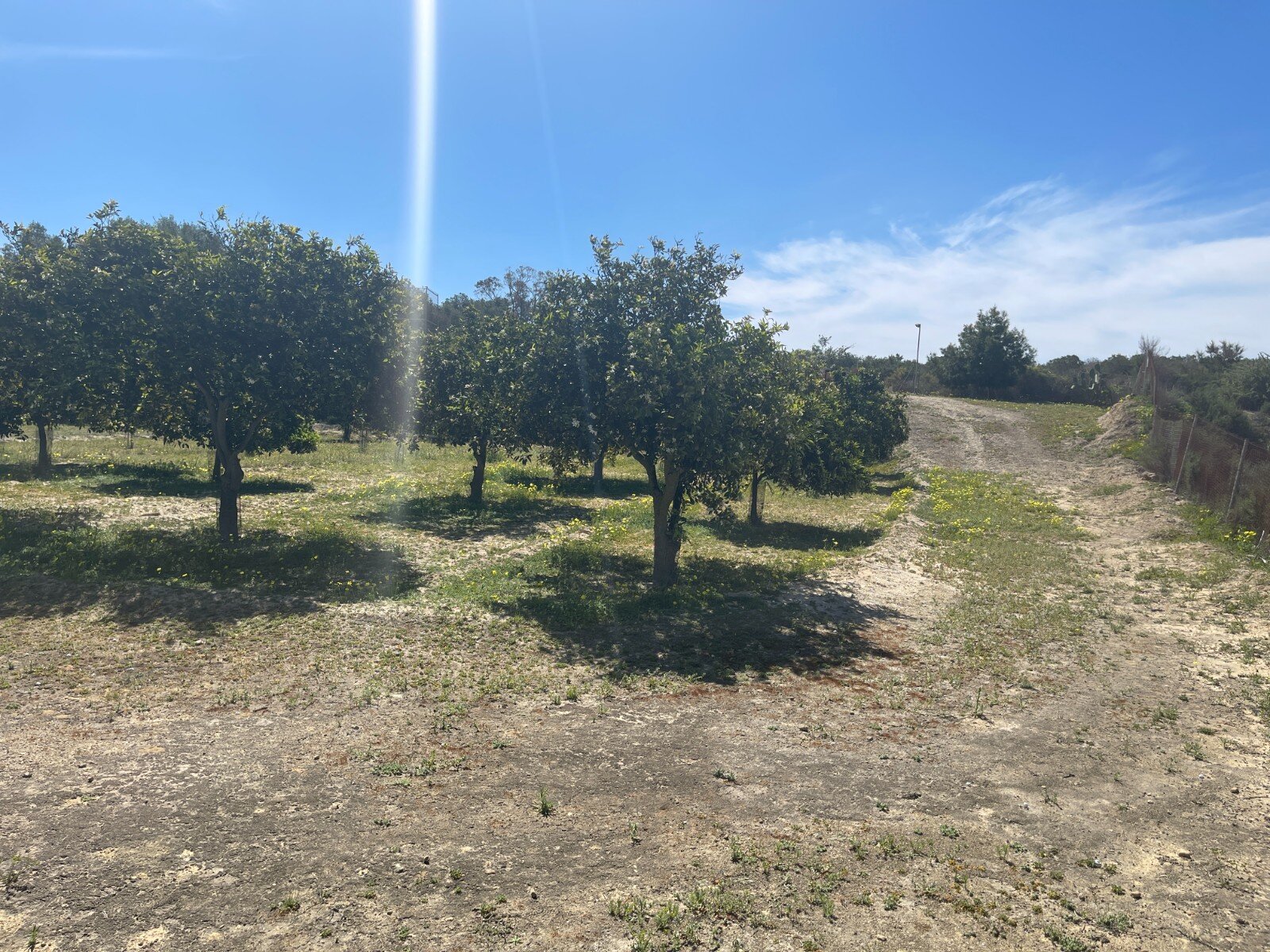 3-Bedroom Villa in Rojales - Image 37