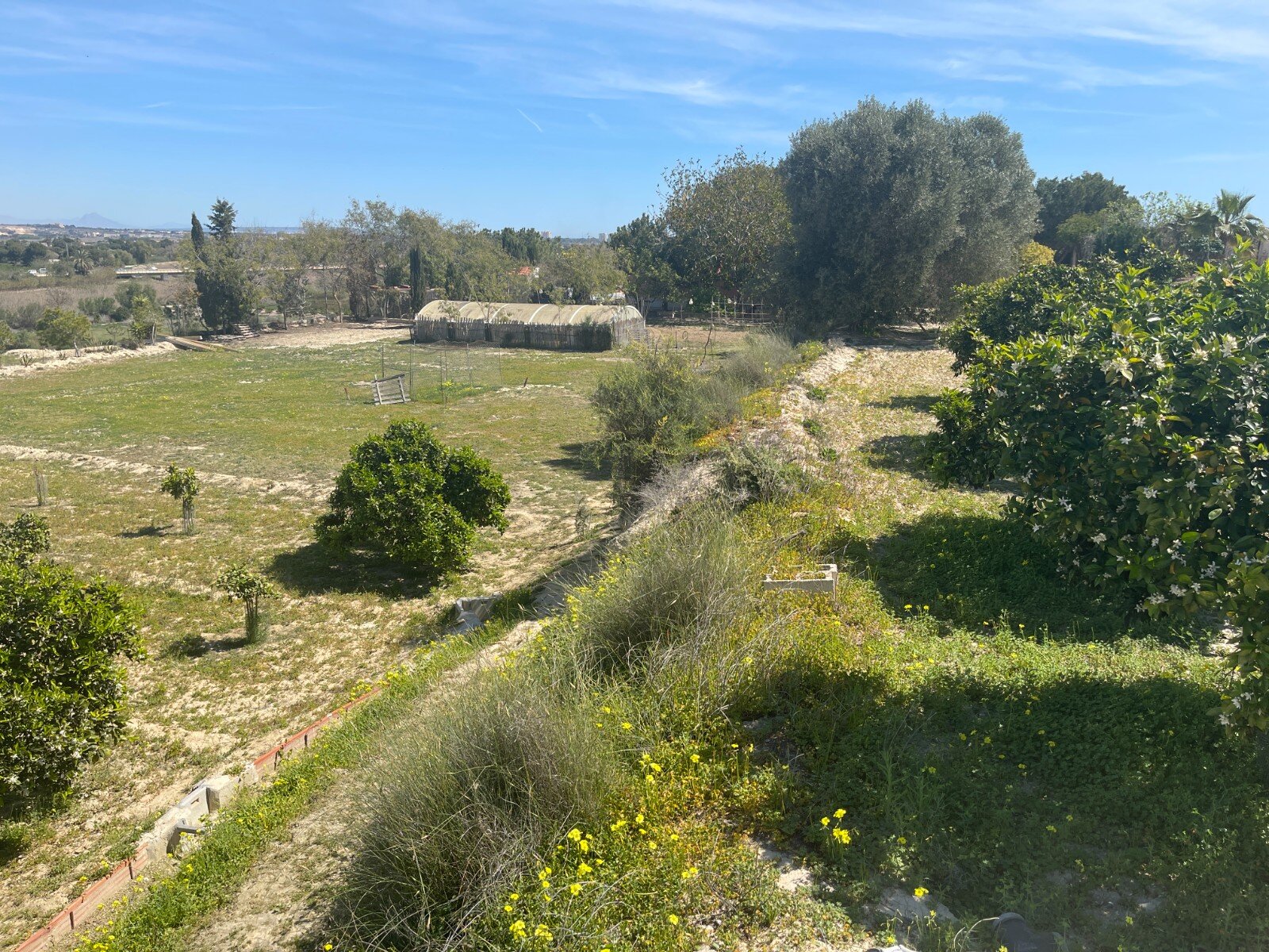 3-Bedroom Villa in Rojales - Image 38