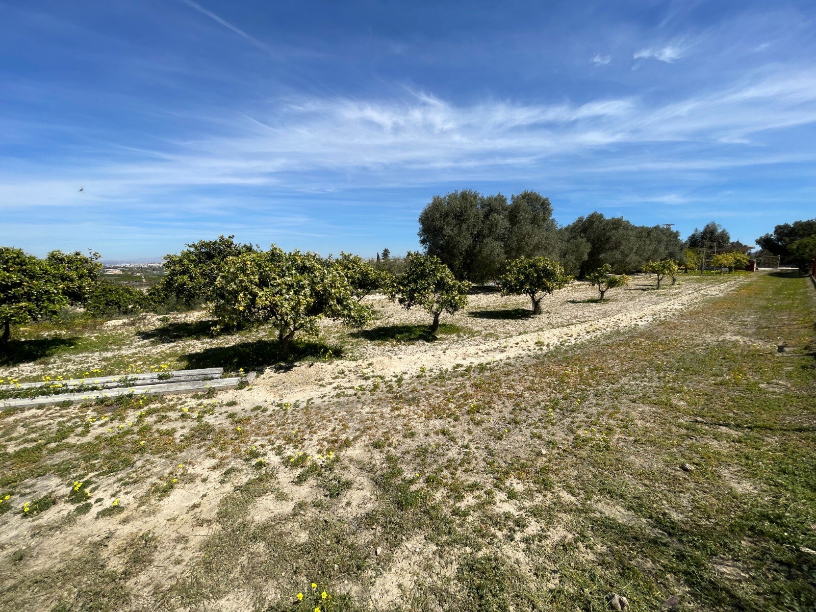 3-Bedroom Villa in Rojales - Image 39