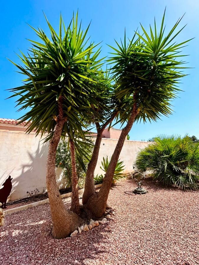 4-Bedroom Villa in San Luis, Torrevieja - Image 25
