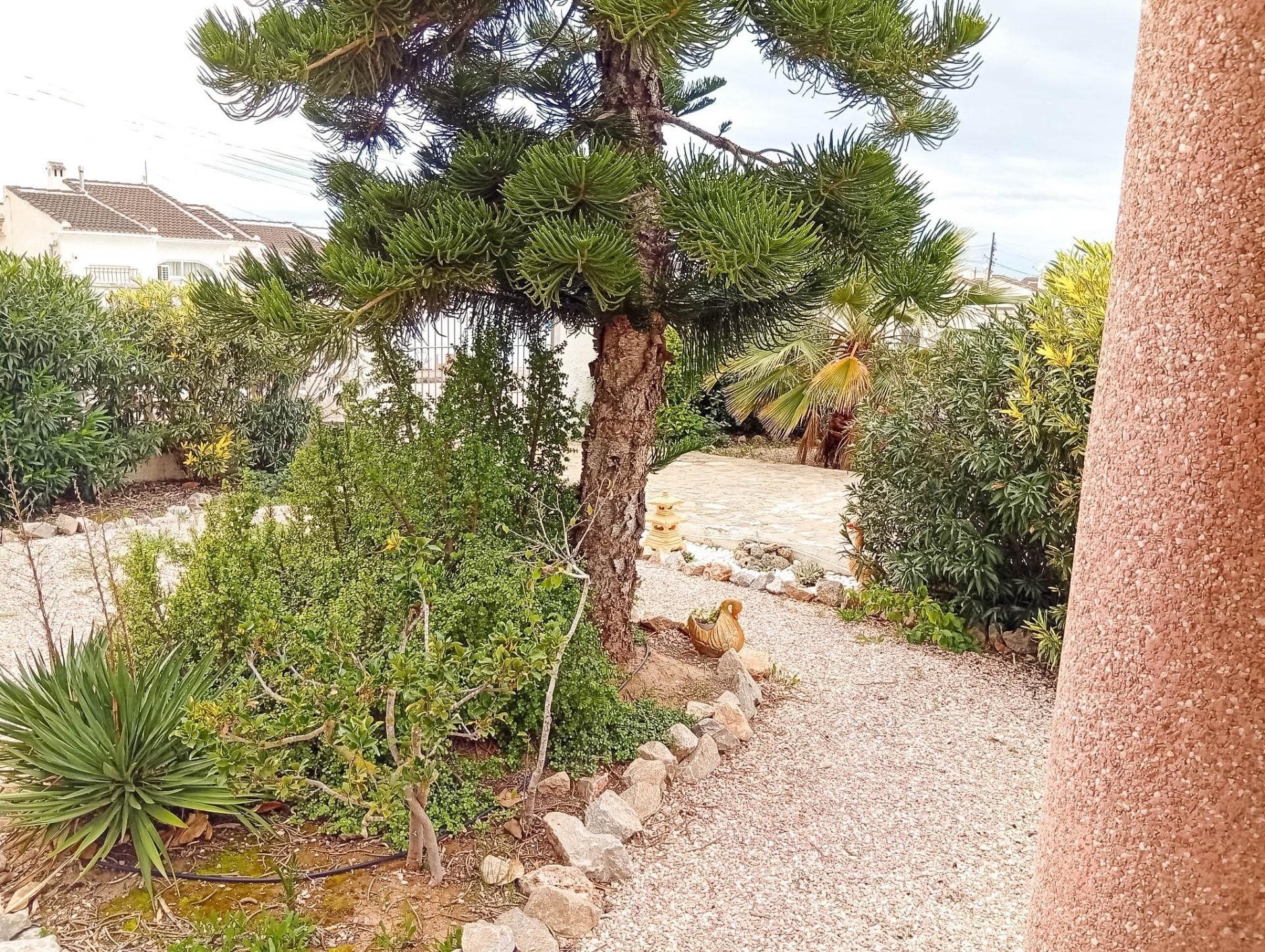 4-Bedroom Villa in Torrevieja - Image 10