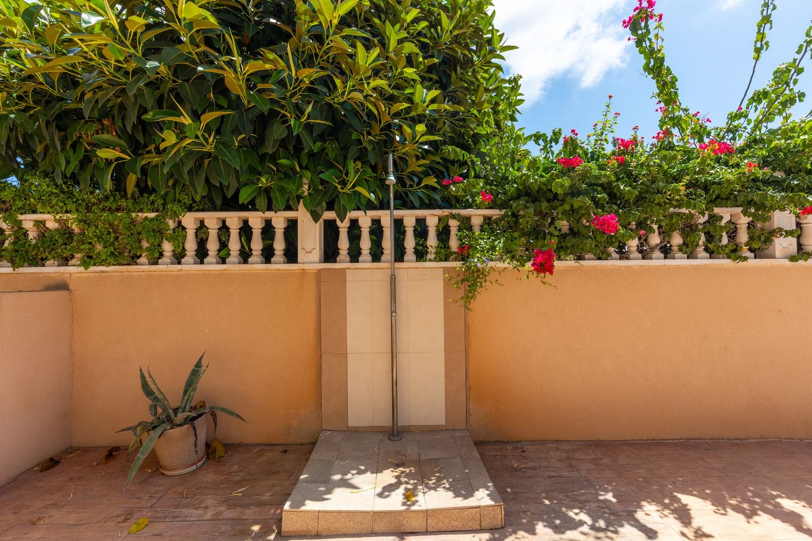 1-Bedroom Apartment in Punta Prima, Torrevieja - Image 21