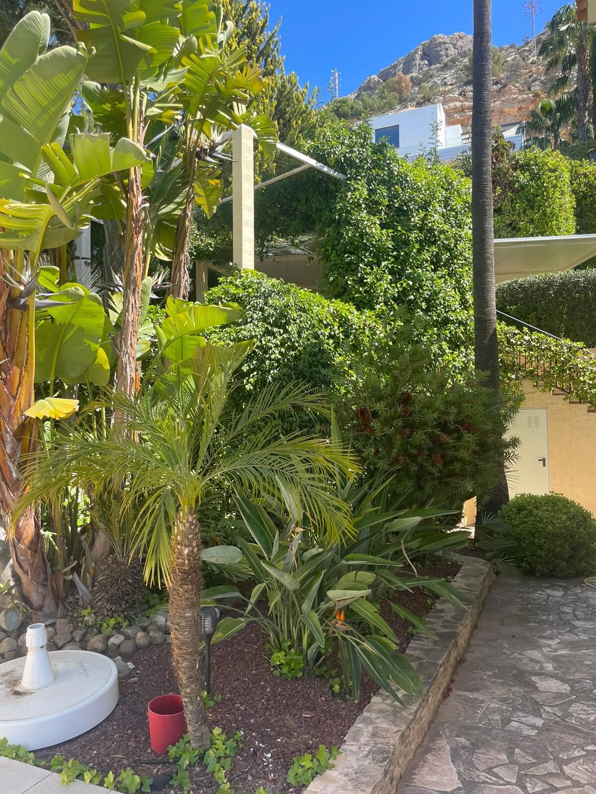 3-Zimmer Villa in Altea - Image 5