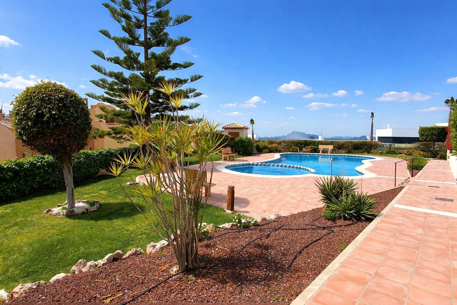 2-Bedroom Apartment in Comunidad Valenciana, Algorfa - Image 3