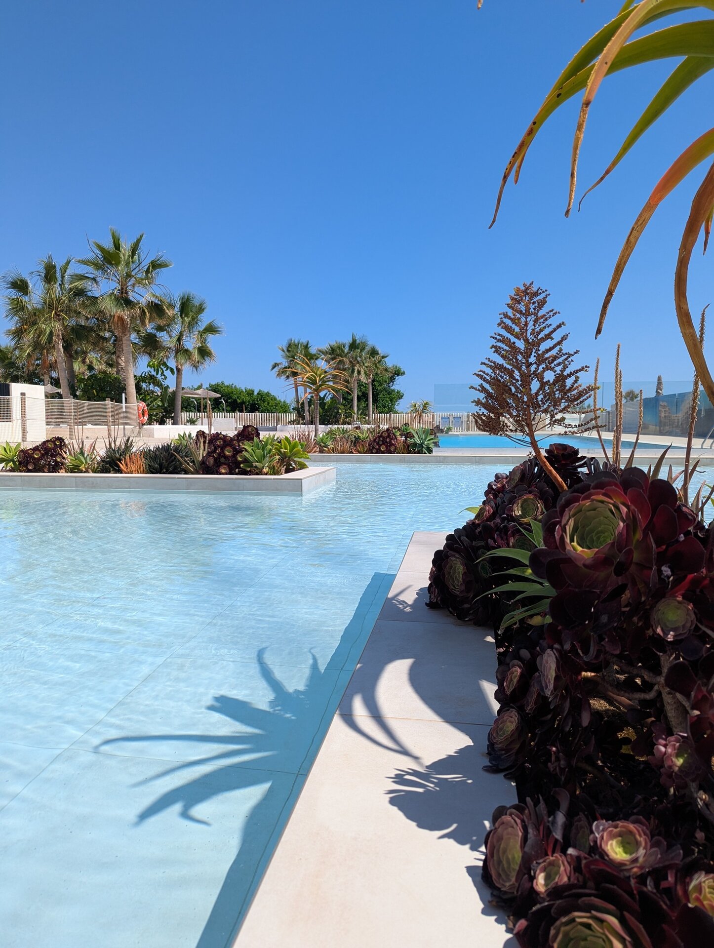 3-Zimmer Erdgeschosswohnung in Denia - Image 2