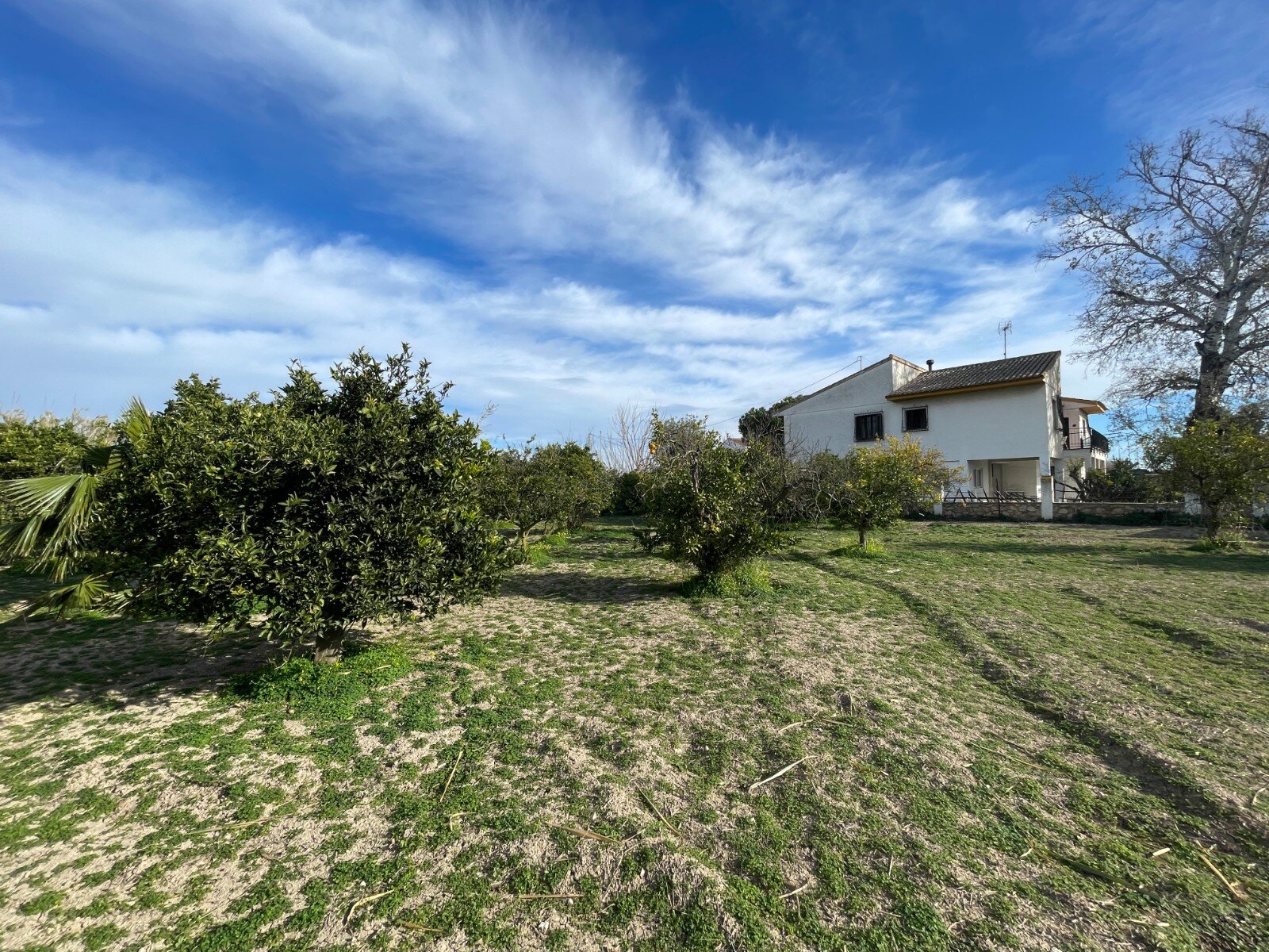 5 magamistuba - Villa - Molins-Campaneta-San Bartolomé Orihuela - Image 3