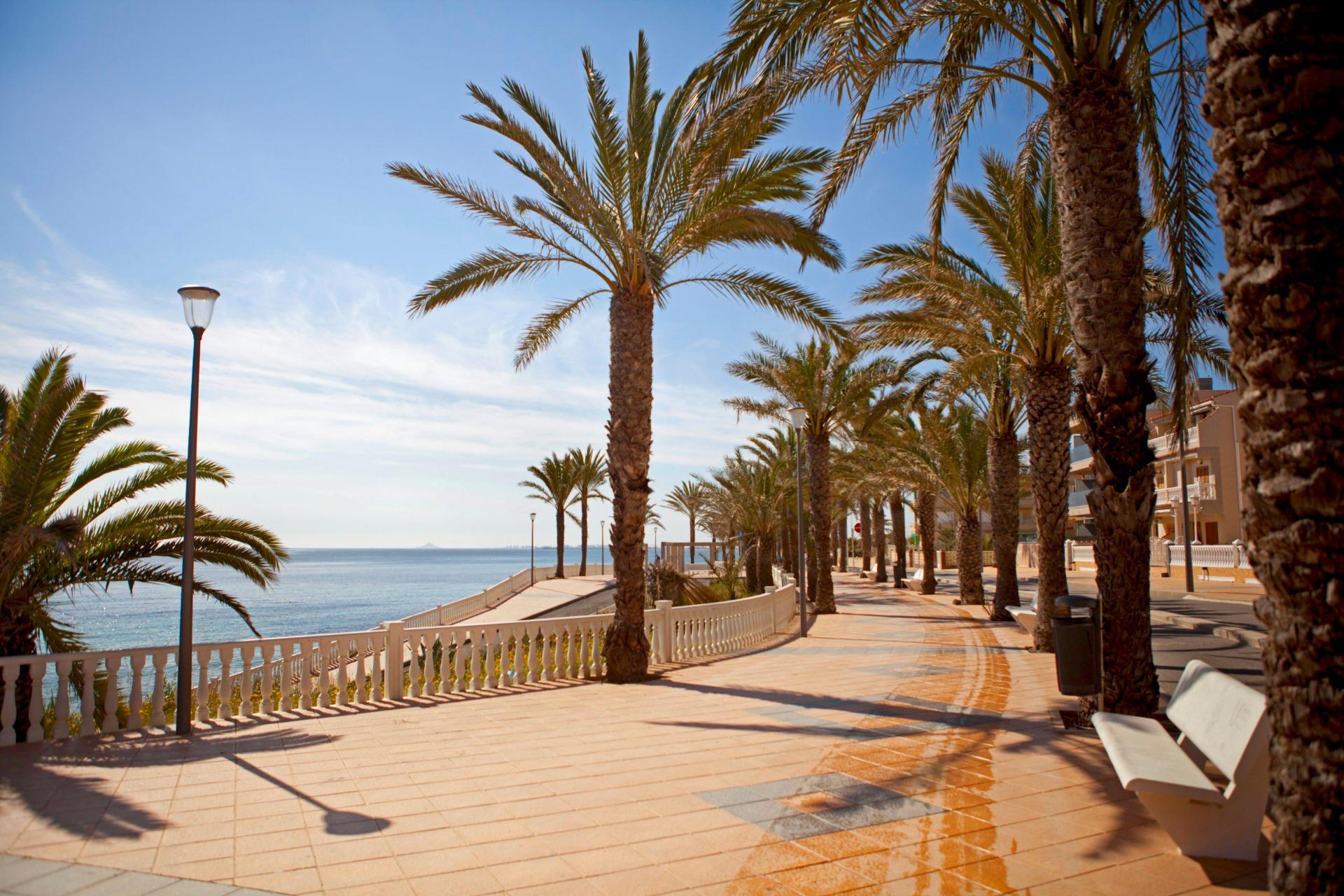 3-Bedroom Apartment in Pilar de la Horadada - Image 21