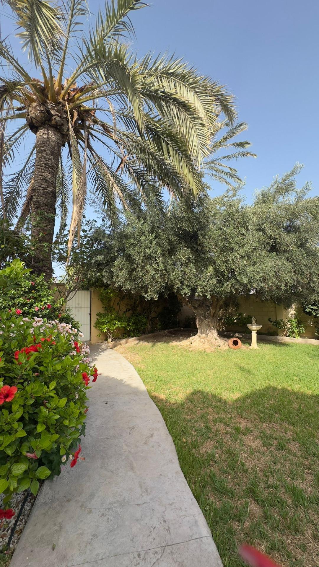 4-Bedroom Villa in Orihuela Costa - Image 11