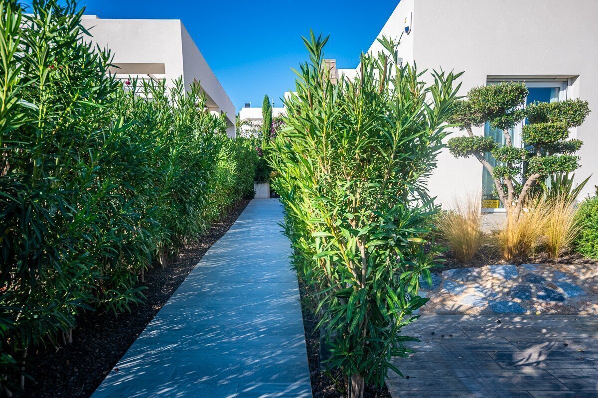 2-Bedroom Villa in Algorfa - Image 13