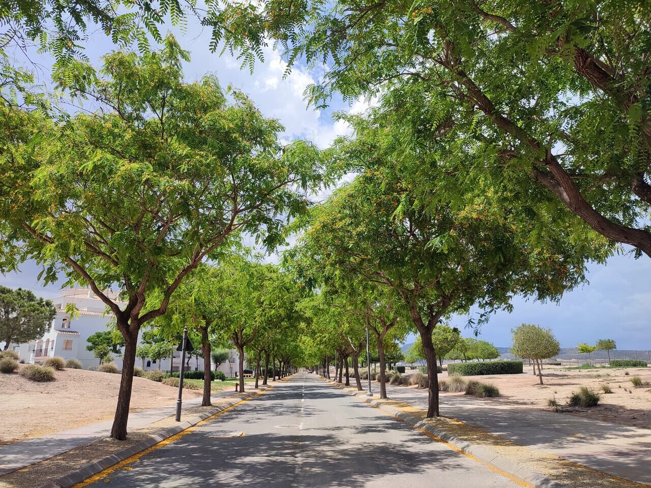 2-Bedroom Apartment in Sucina - Image 46