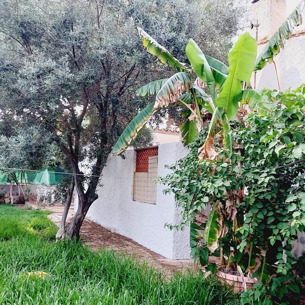 4-Bedroom Villa in Lomas de Cabo Roig, Orihuela Costa - Image 31