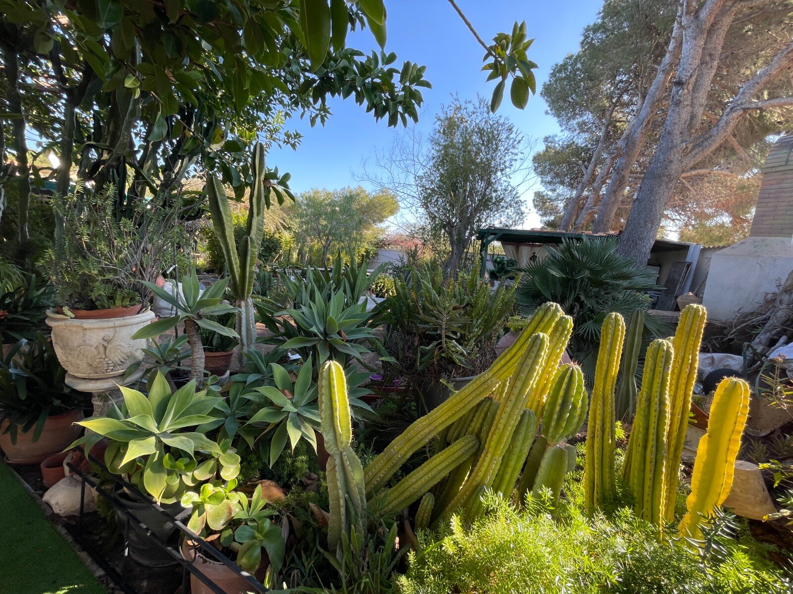 5-Bedroom Villa in Villamartín-las Filipinas, Orihuela Costa - Image 7