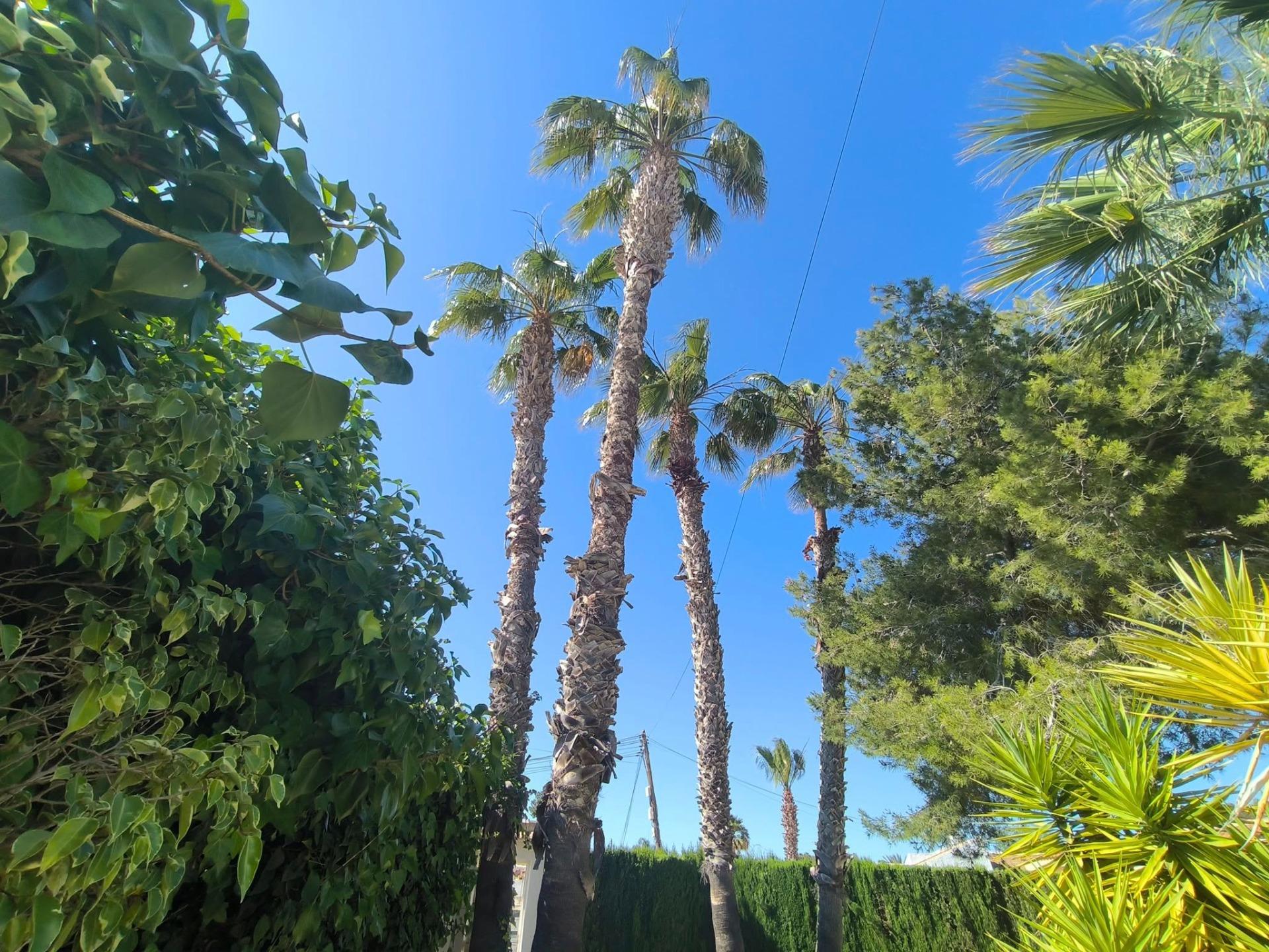 5-Bedroom Villa in Torrevieja - Image 7