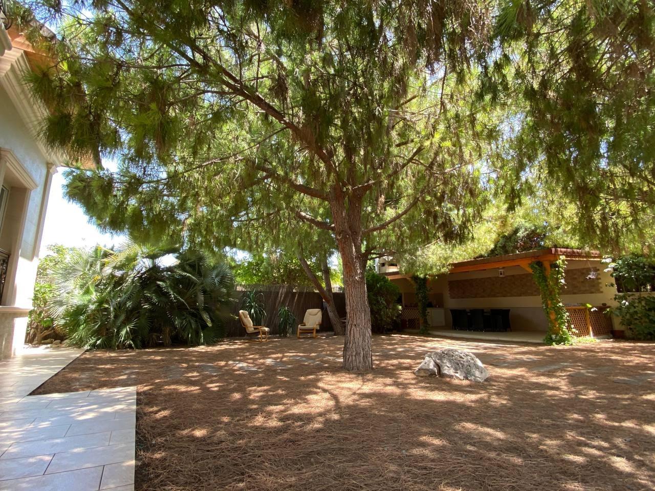 5-Bedroom Villa in Benijofar - Image 21