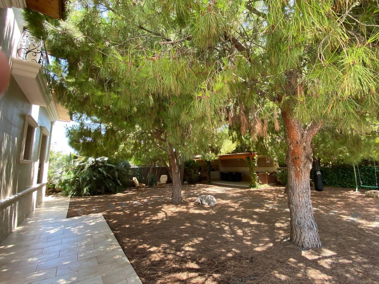 5-Bedroom Villa in Benijofar - Image 22