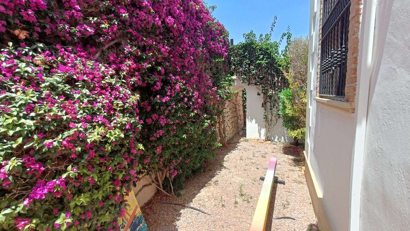 3-Bedroom Villa in Comunidad Valenciana, Algorfa - Image 49
