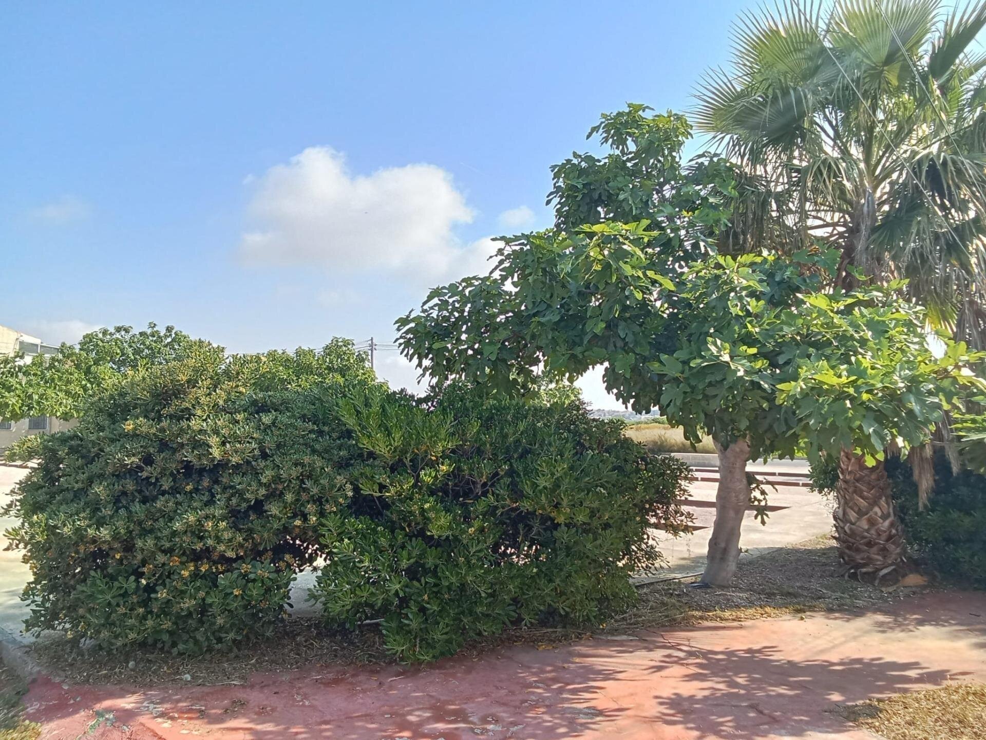 Bungalow de 2 Dormitorios en La Siesta - El Salado - Torreta, Torrevieja - Image 35