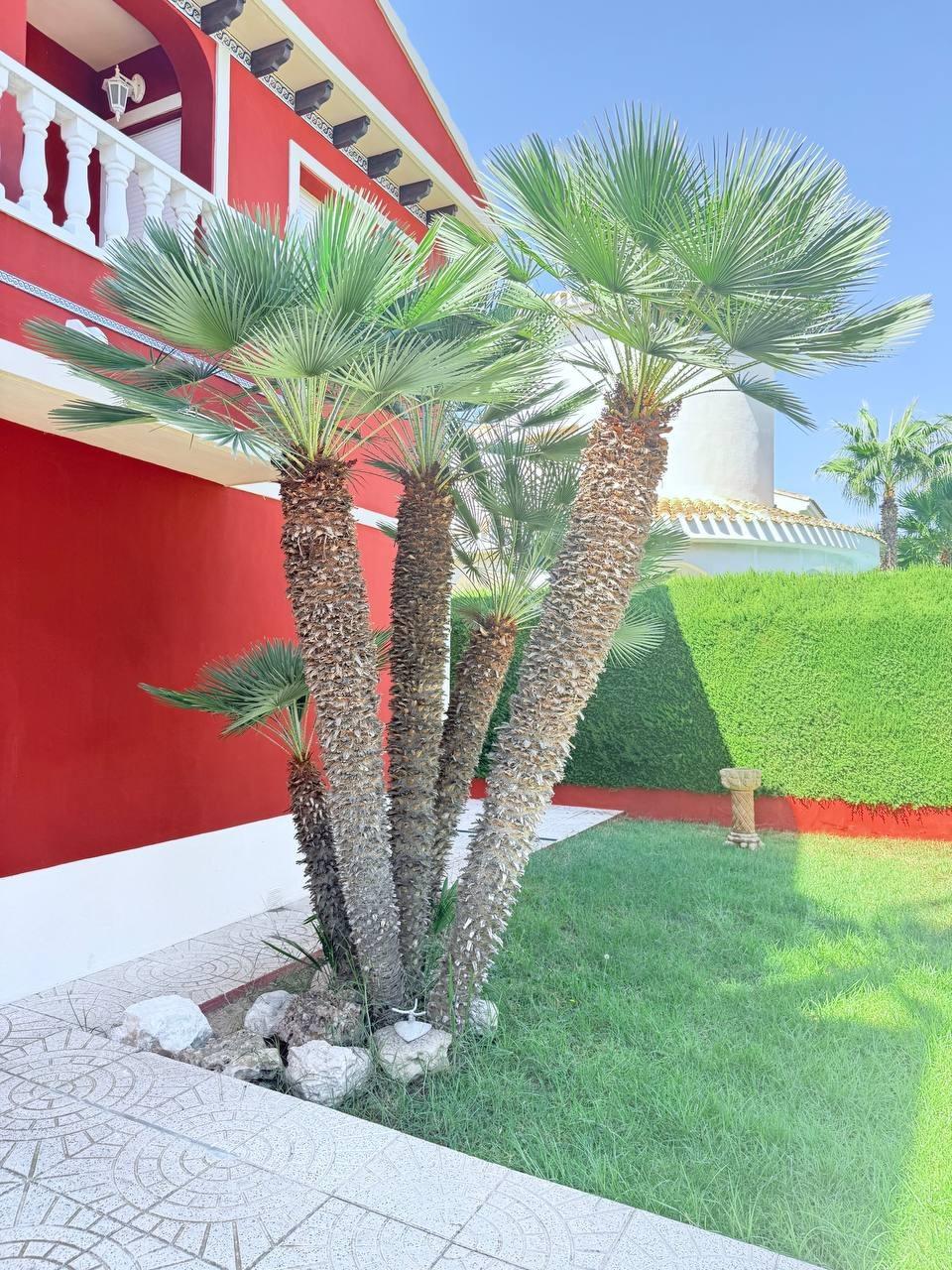 5-Bedroom Villa in Las Ramblas, Orihuela Costa - Image 21