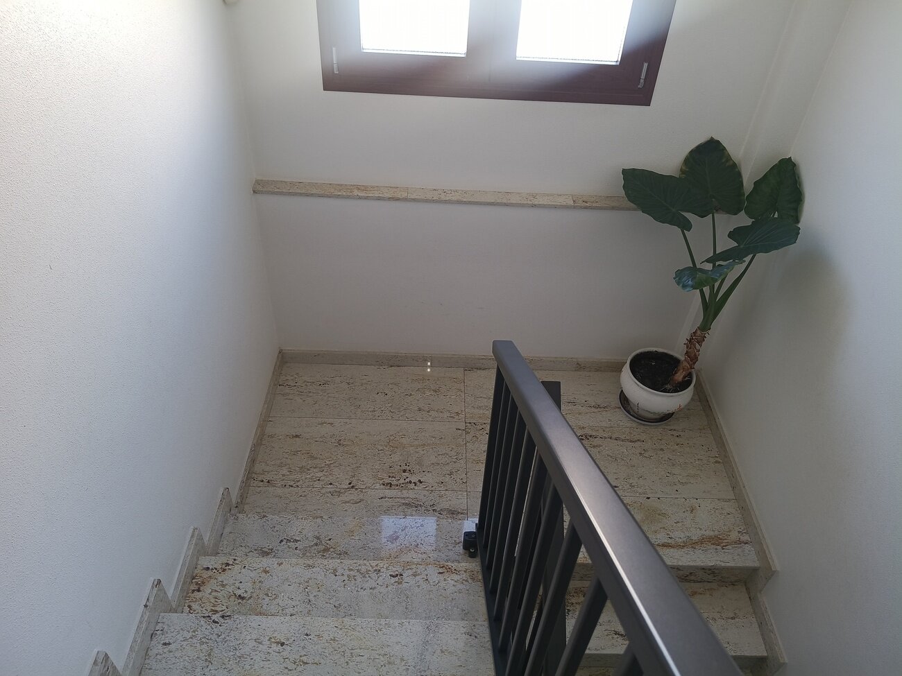 House in Torre - Pacheco - Image 7